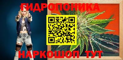 стафф Дубна