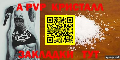 стафф Дубна