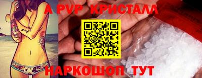 спиды Донской
